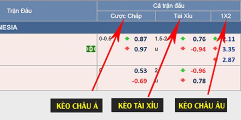 Hướng dẫn người mới đọc kèo cực chuẩn