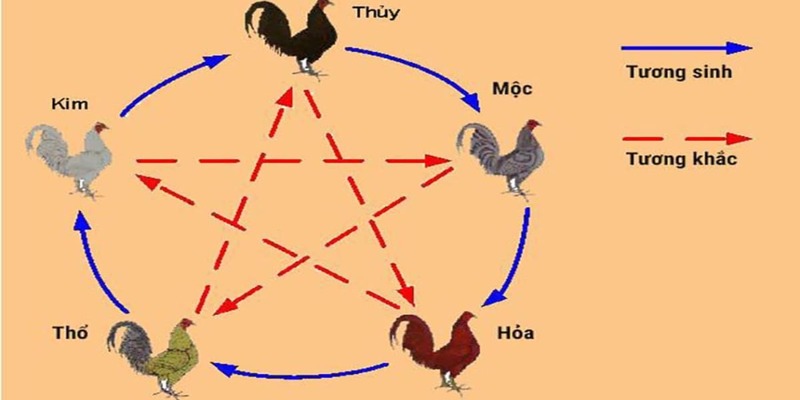 Xem ngày ra trận gà đá theo Nhật thần sinh khắc